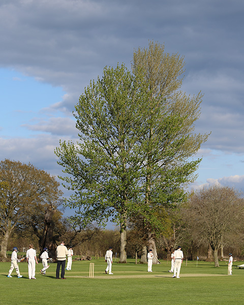 Cricket in challenging weather conditions