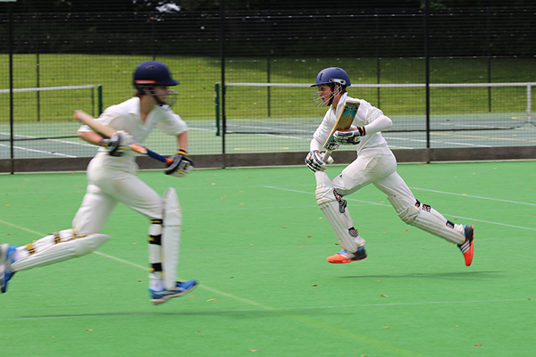 T20 Cricket on the Bastion astro