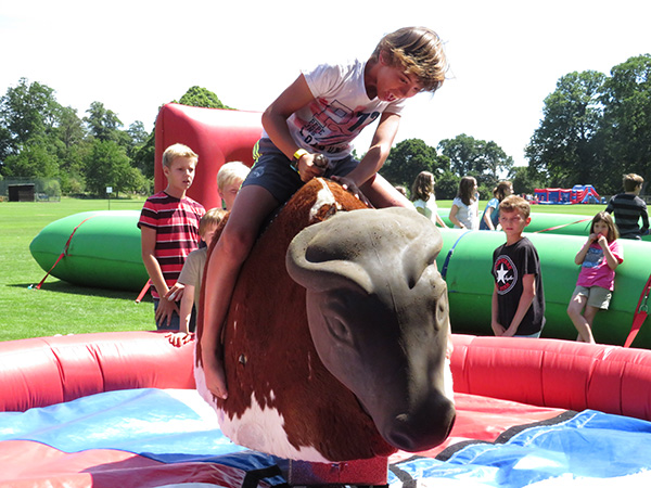 Clinging on to the bucking bronco