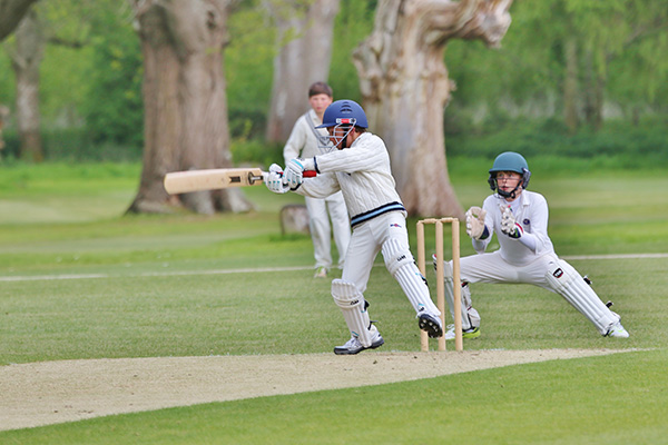 Cricket at Hazlegrove